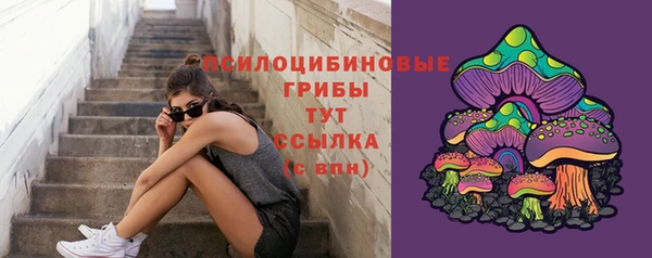 амф Горнозаводск