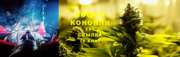 дурь Горняк