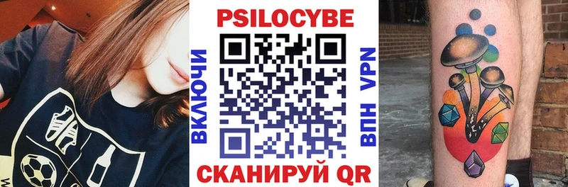 Галлюциногенные грибы Psilocybe  shop какой сайт  Черняховск  цены наркотик 